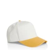 Frame Two-Tone Cap