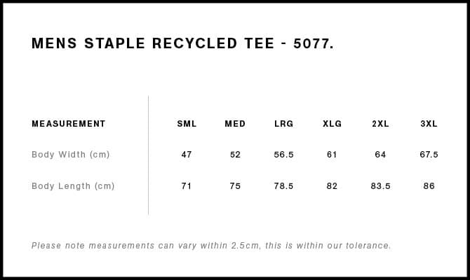 Staple Recycled Tee size guide